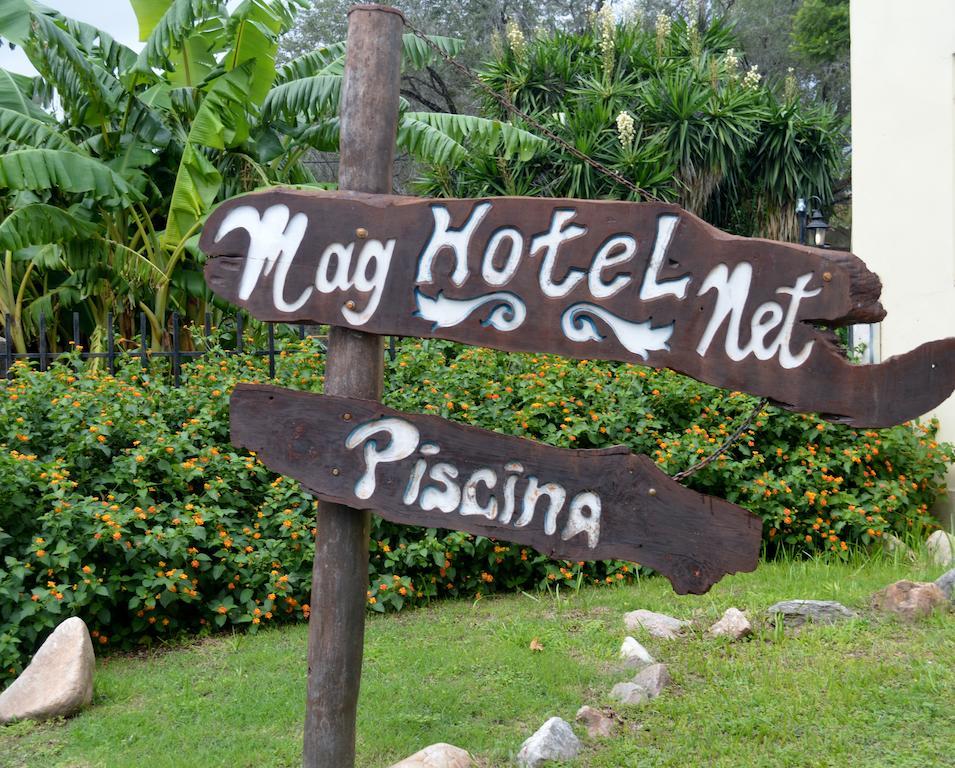 Magnet